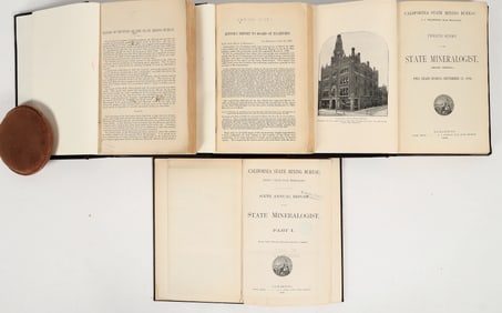California State Mineralogist's Reports (4), 1885-1894 [202934]
