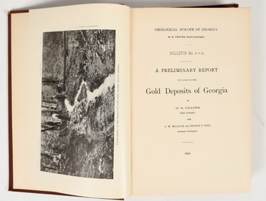 Gold Deposits of Georgia [204696]