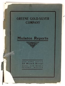 Mining Engineers Reports On Mulatos Mines [202758]
