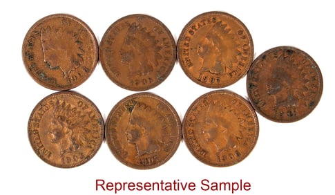 Indian Head Cent Collection (38) [203611]