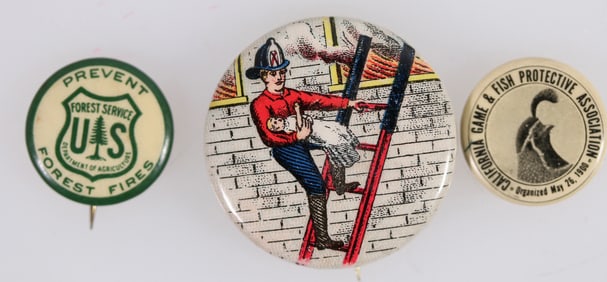 Fire Prevention Pinbacks. [201382]