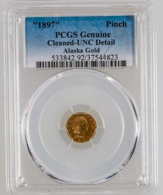 Alaska Gold Pinch 1897 [202651]