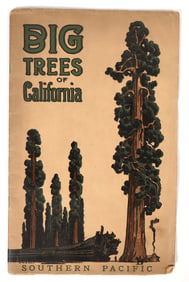 Big Trees of CA, Southern Pacific Co, Rare Booklet [203617]