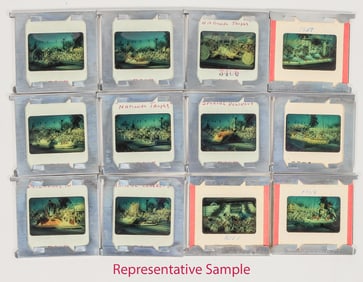 Tournament of Roses Slide Collection, 1958-1964 [203897]