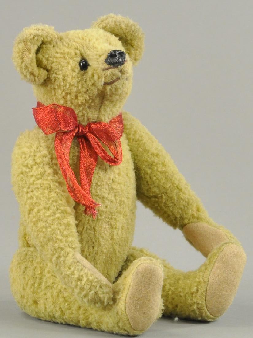 STRUNZ TEDDY BEAR (1 of 3)