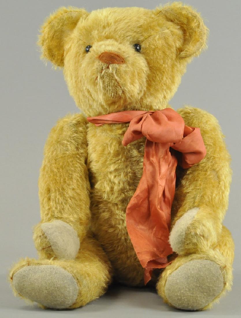 BLONDE TEDDY BEAR (1 of 4)