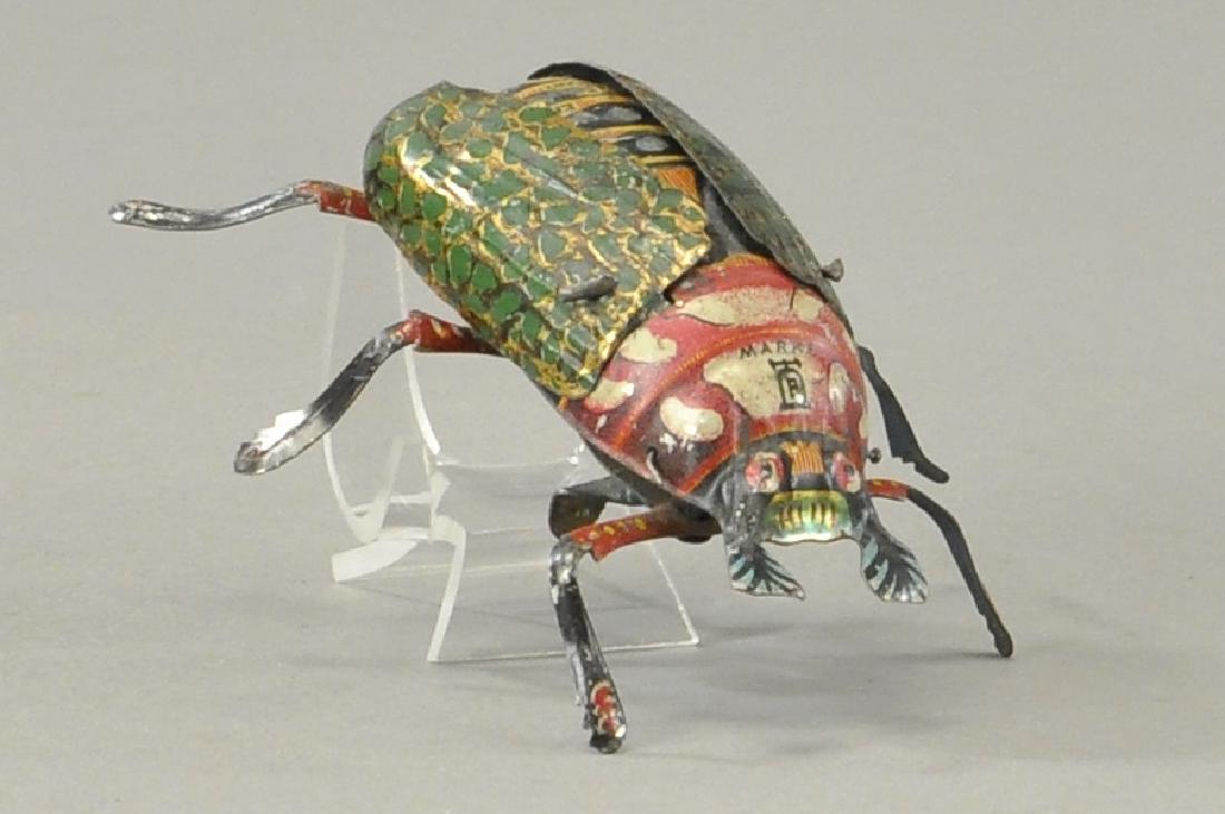 LEHMANN CRAWLING BEETLE (1 of 4)