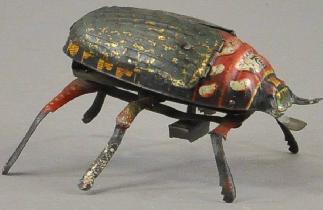 LEHMAN CRAWLING BEETLE (1 of 3)