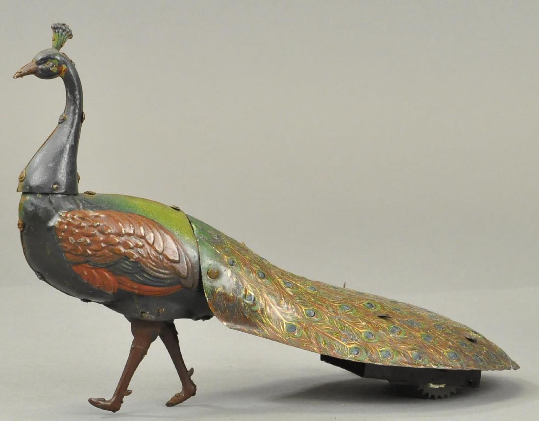 EBO WALKING PEACOCK (1 of 3)