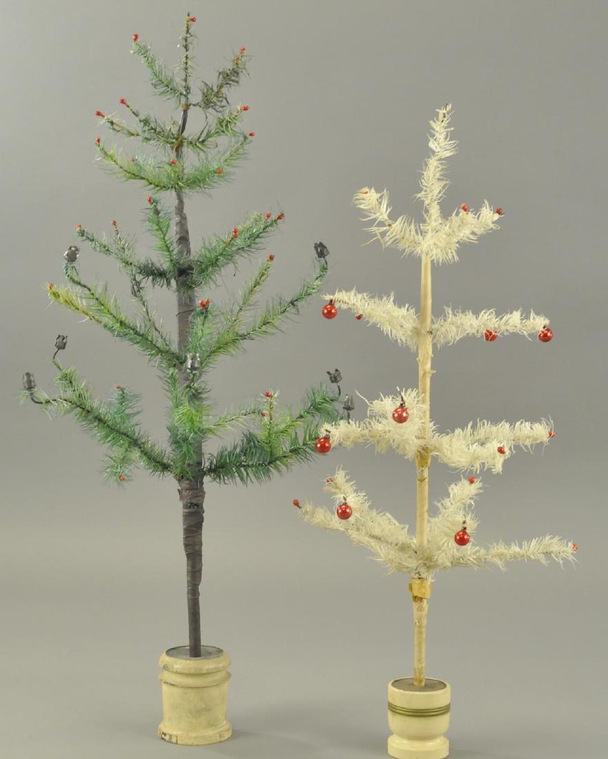 TWO SWEET LITTLE FEATHER TREES (1 of 2)
