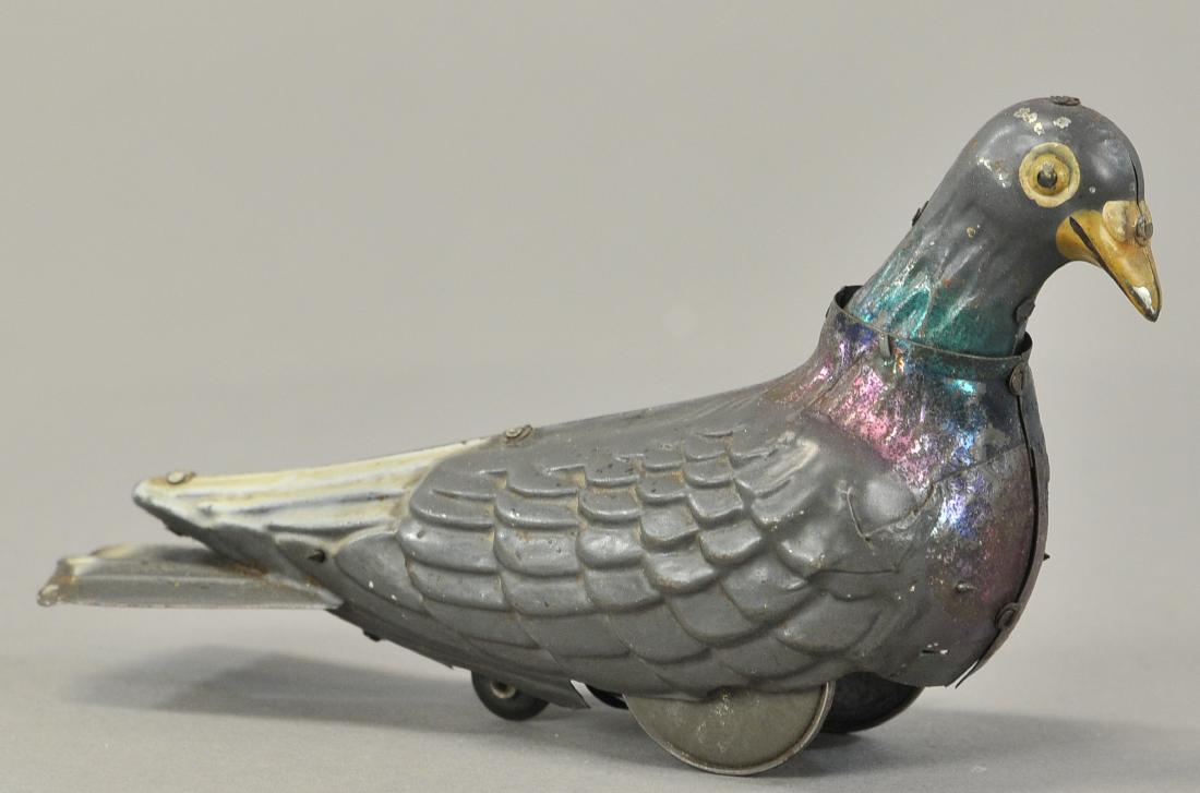 VICTOR BONNET PIGEON (1 of 3)