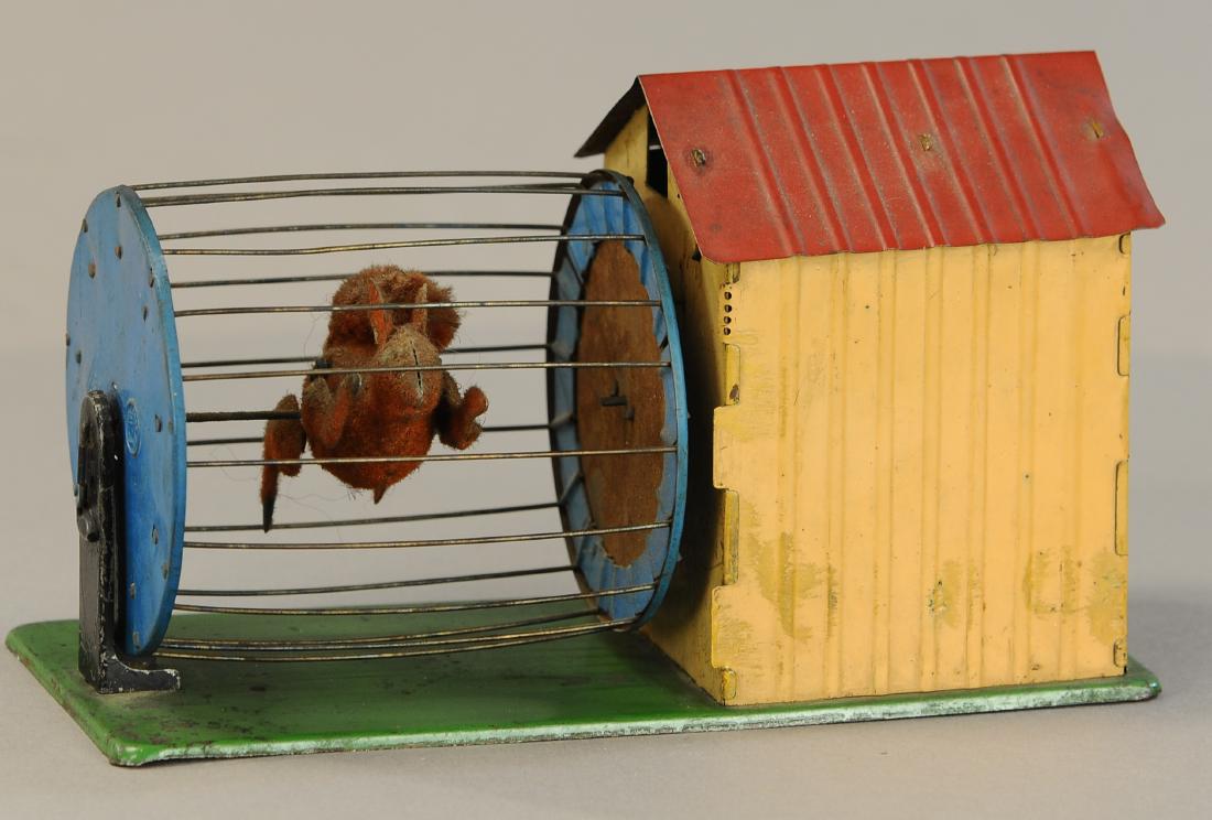 MARTIN SQUIRREL IN CAGE (1 of 3)