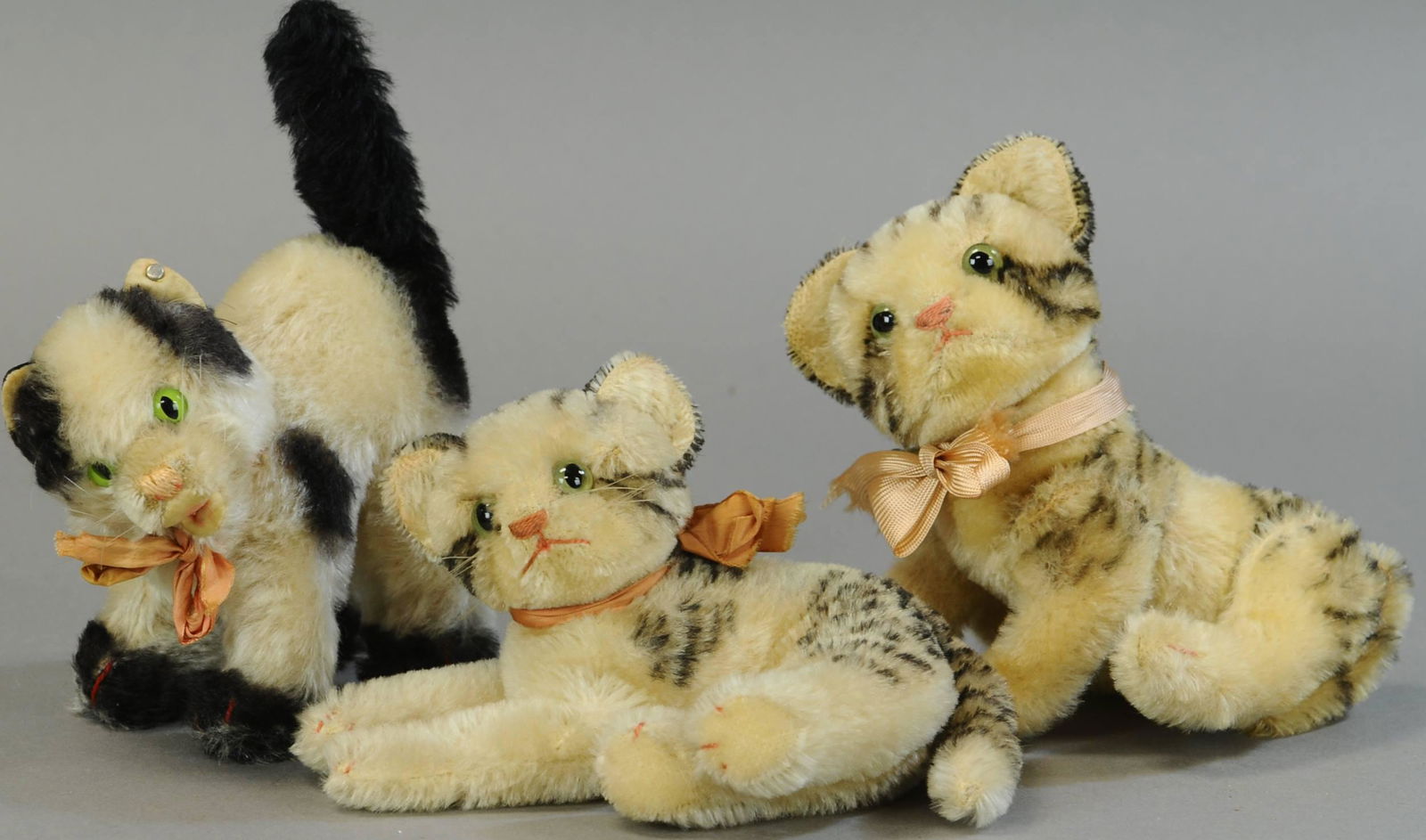 THREE STEIFF CATS (1 of 3)