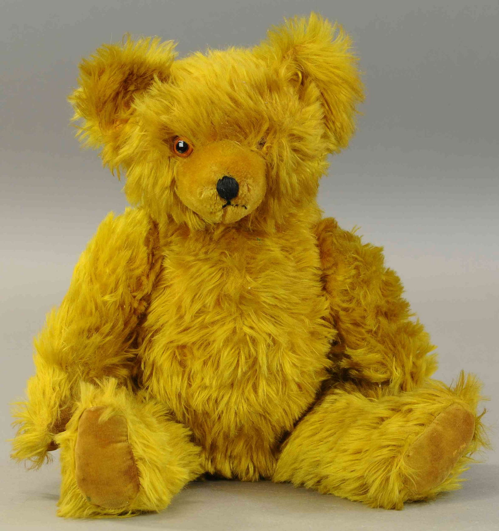 LARGE TEDDY BEAR (1 of 1)