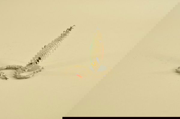 WIRE SNAKE AND GLASS FISH ORNAMENTS: Unusual snake design is done in coiled tinsel with ability to be posed in different manners; fish has molded bumpy scale pattern. 4" - 10" l.