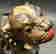 item-136500274=5