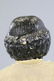 36: GREINIER PAPER MACHE HEAD DOLL - 2
