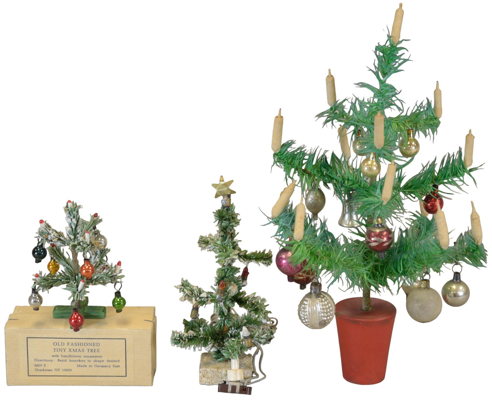 THREE SMALL FEATHER TREES (1 of 3)