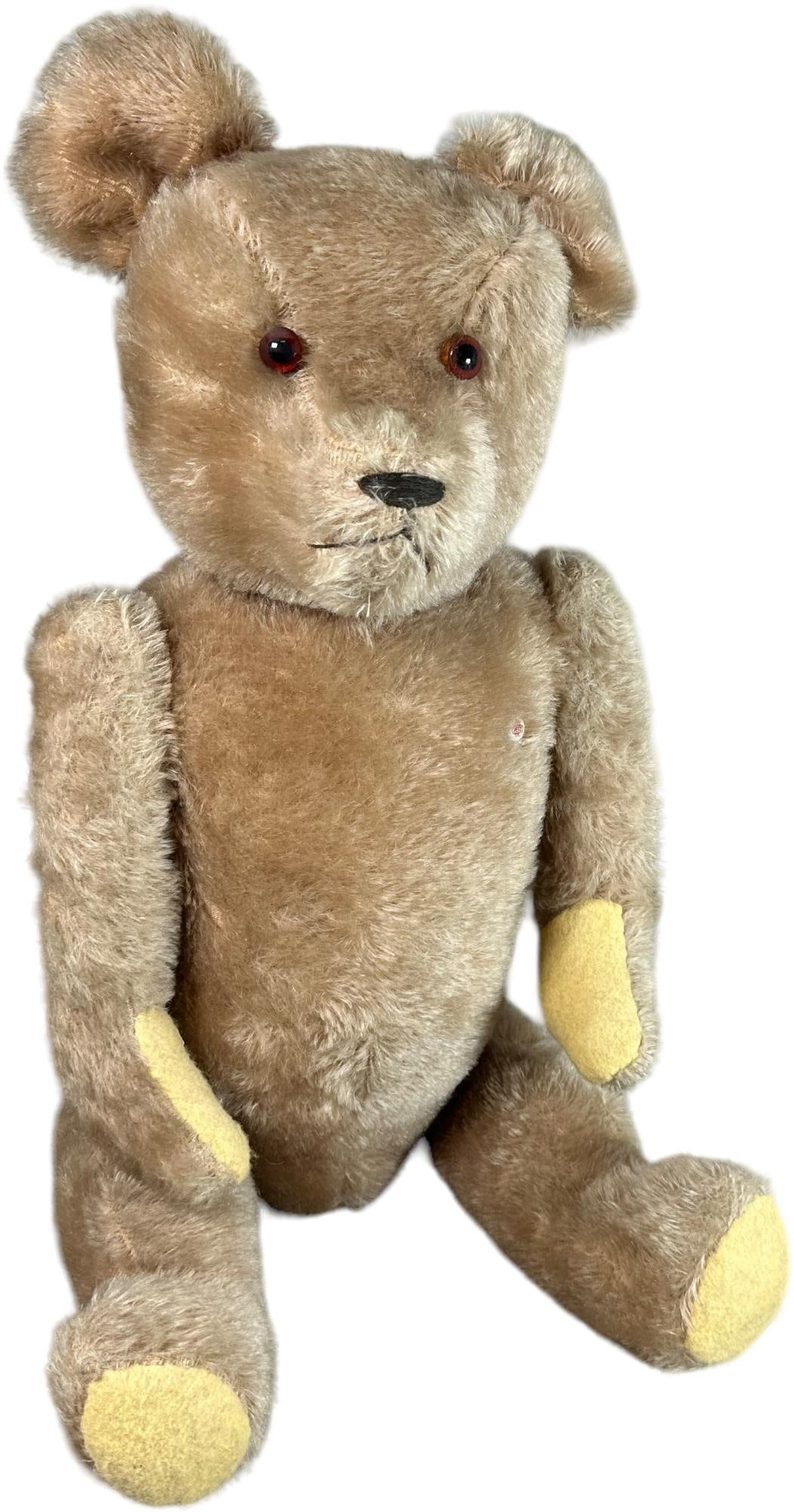 LARGE PETZ TEDDY BEAR W/ GROWLER (1 of 6)