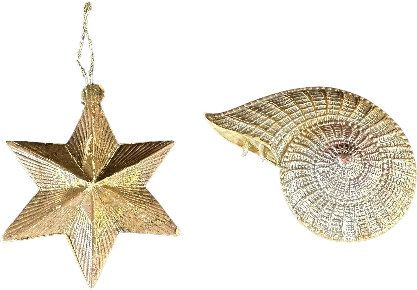 DRESDEN SEASHELL W/ STAR ORNAMENT: 378. DRESDEN SEASHELL W/ STAR ORNAMENT | 3" h. | Old repair to side of shell, otherwise (Excellent to Pristine Condition) | $600 - $900