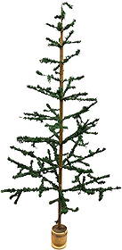 FIVE FOOT TALL GERMAN FEATHER TREE: 146. FIVE FOOT TALL GERMAN FEATHER TREE | 5ft h. | (Excellent Condition) | $400 - $700