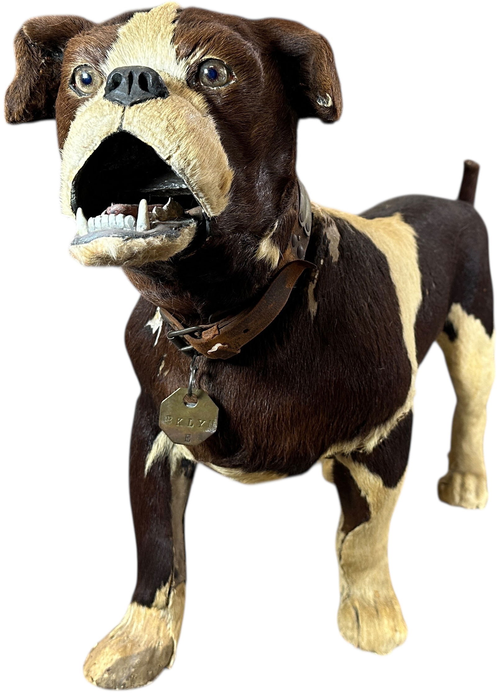 LIFE SIZE BULLDOG CLOCKWORK NODDER - 2