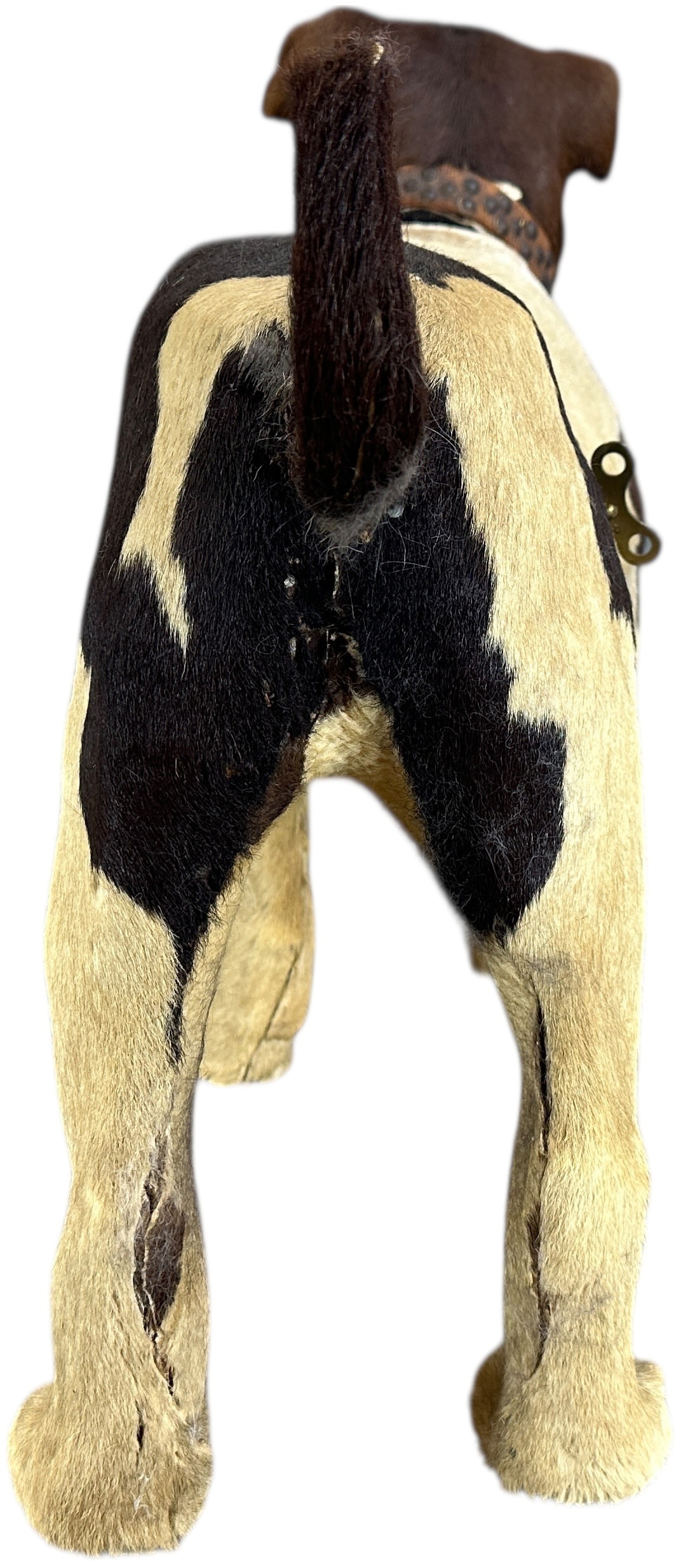 LIFE SIZE BULLDOG CLOCKWORK NODDER - 7