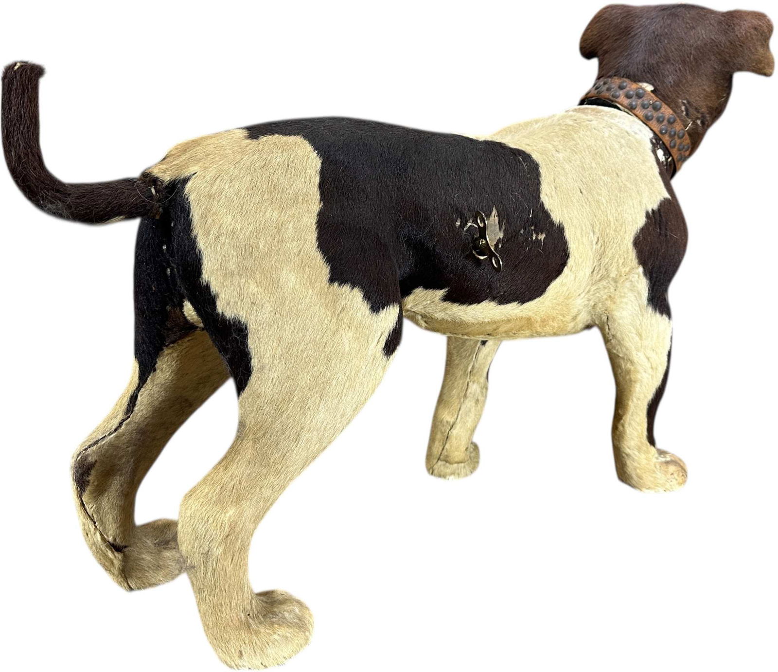 LIFE SIZE BULLDOG CLOCKWORK NODDER - 8