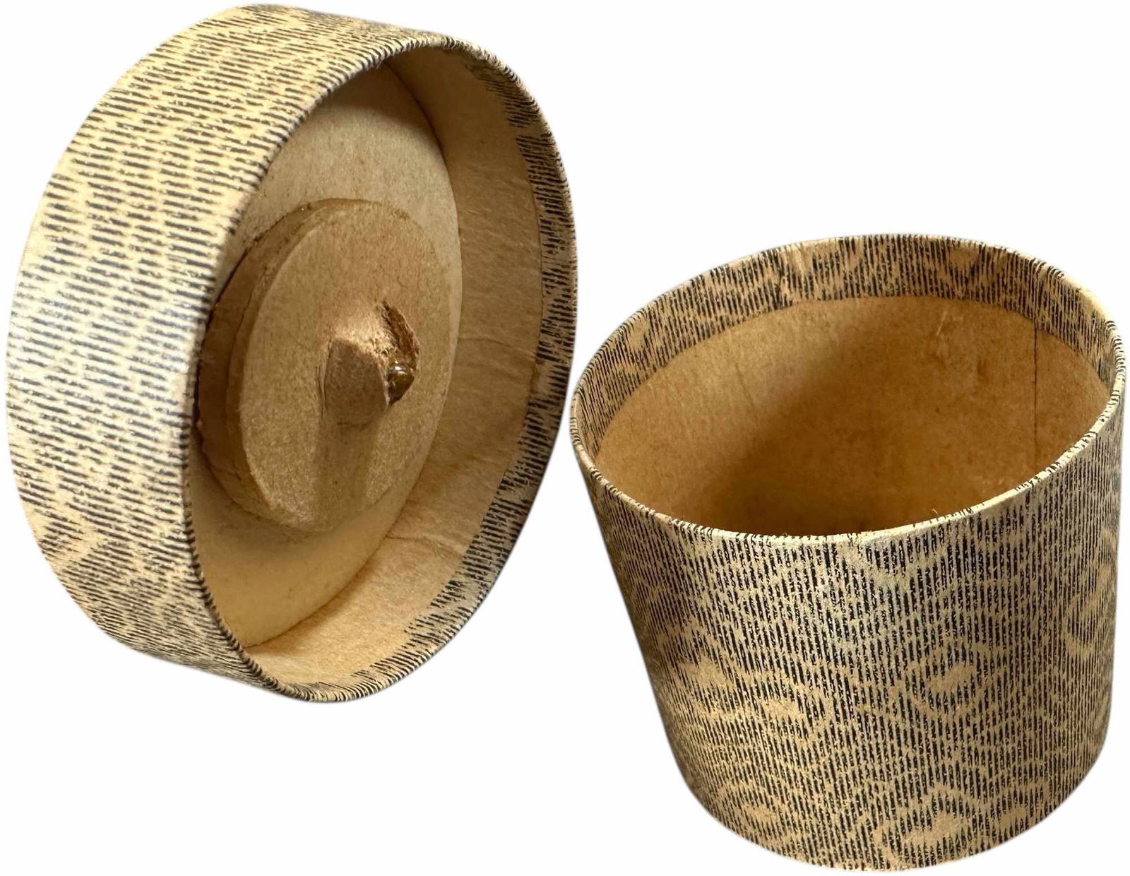 THREE SMALL FEATHER TREES - 5