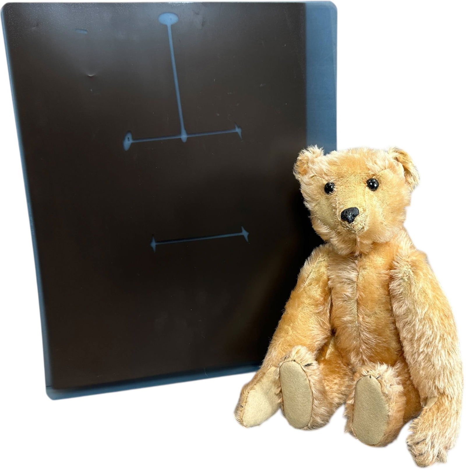 1904 STEIFF APRICOT ROD BEAR: 1479. 1904 STEIFF APRICOT ROD BEAR | Rare apricot mohair, gutta percha nose, elongated muzzle, top of head ear to ear stitching, shoe button eyes, elephant ear button, includes X-Ray of interior torso