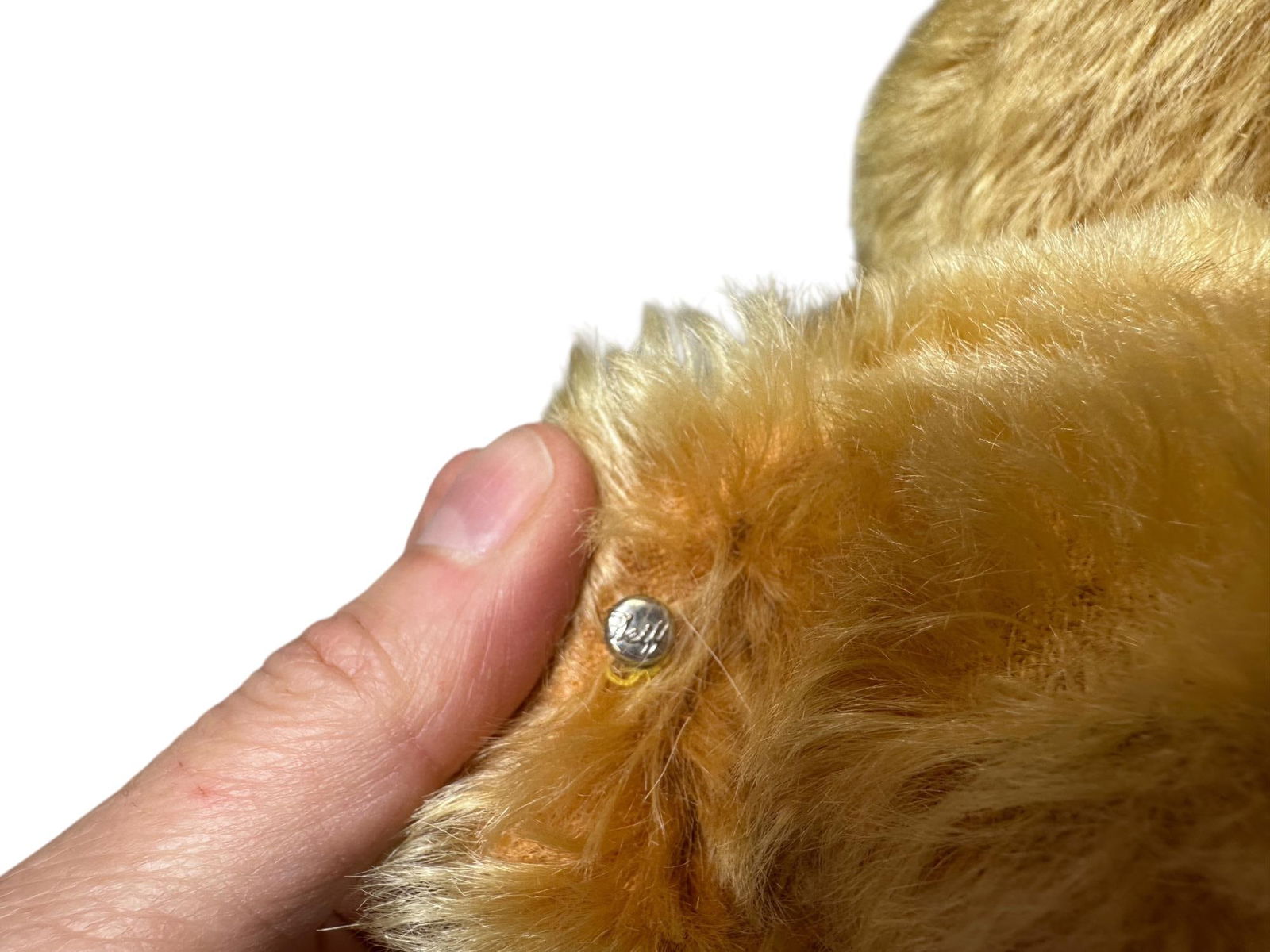 STEIFF GOLD TEDDY BEAR - 4