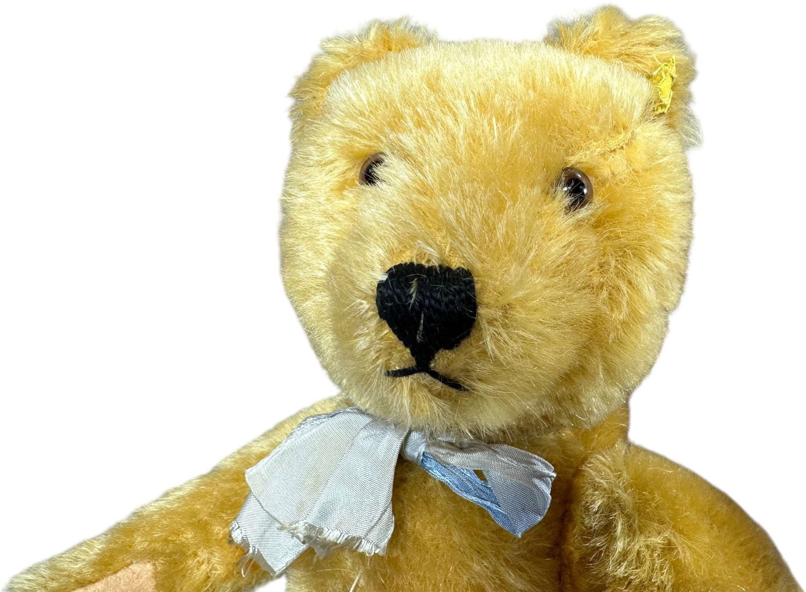 STEIFF TWO 1950S TEDDY BEARS - 3