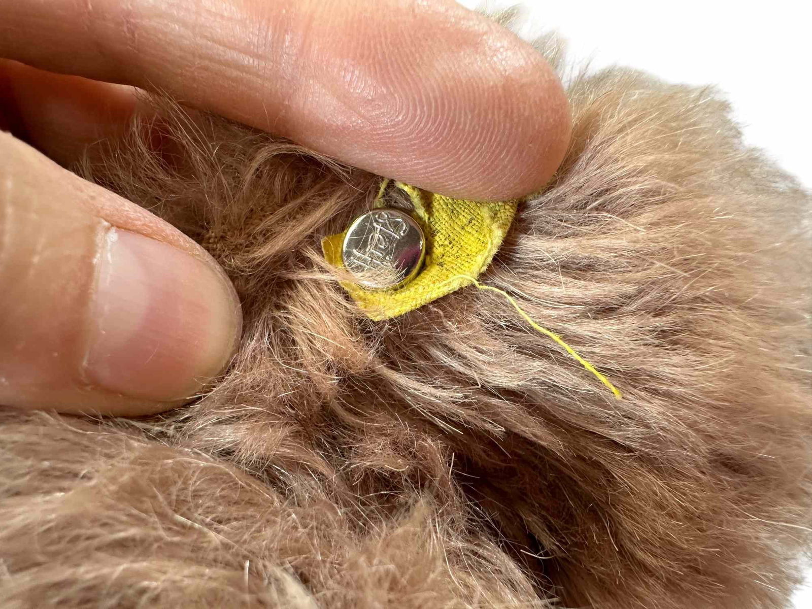 STEIFF TWO 1950S TEDDY BEARS - 6