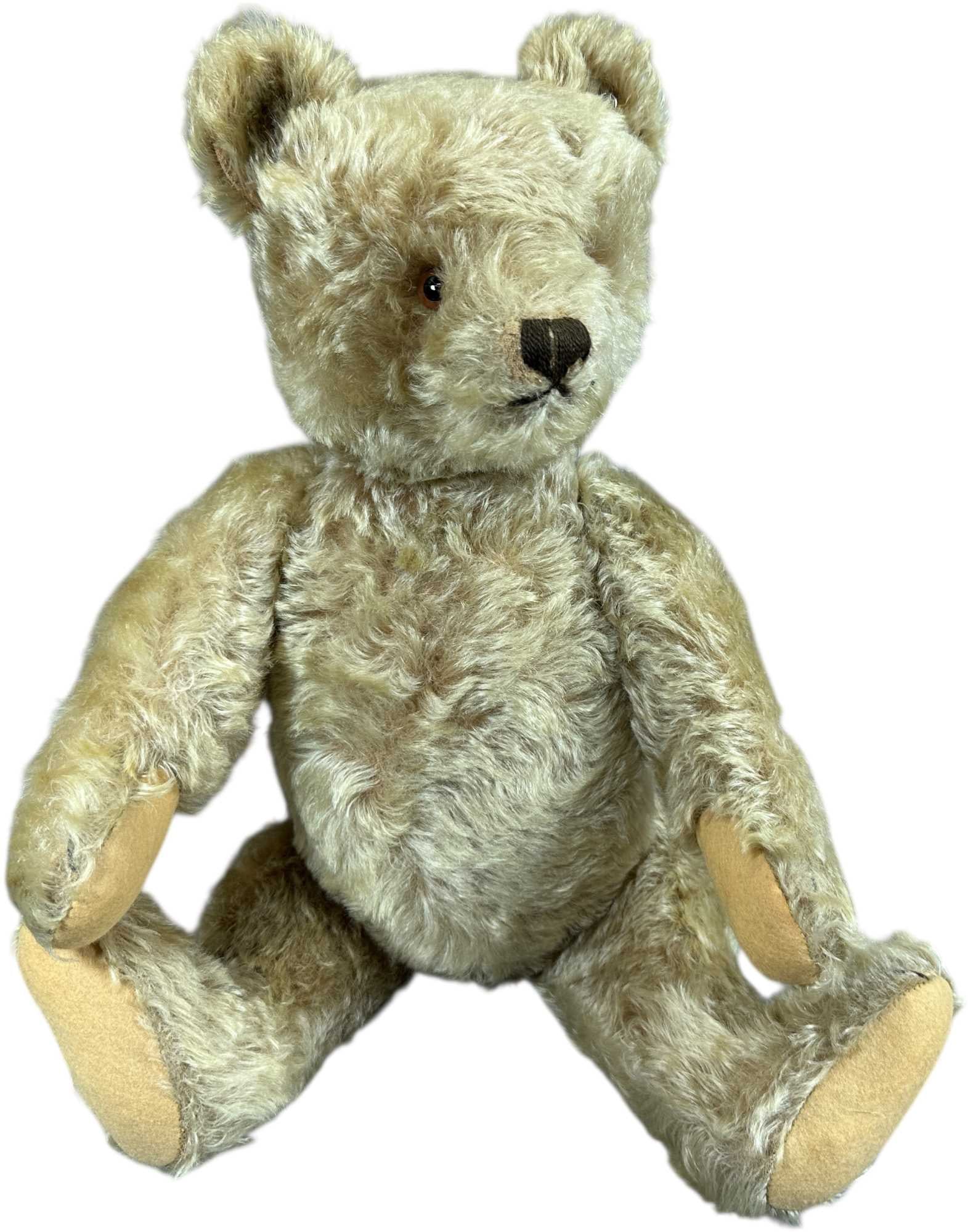STEIFF CHAMPAGNE GROWLER TEDDY BEAR (1 of 9)