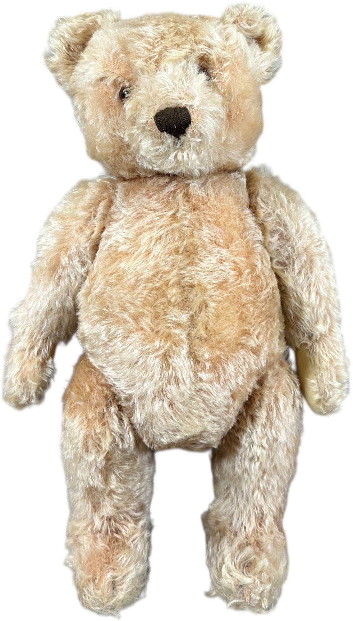 STEIFF GOLD GROWLER TEDDY BEAR (1 of 9)