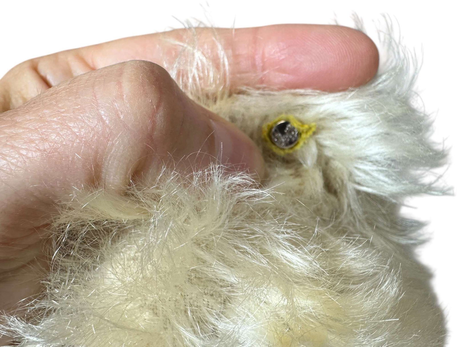 FIVE SMALLER STUFFED BEARS - 4