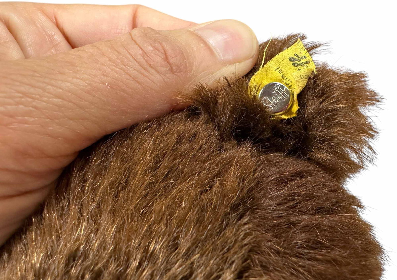 FIVE SMALLER STUFFED BEARS - 5