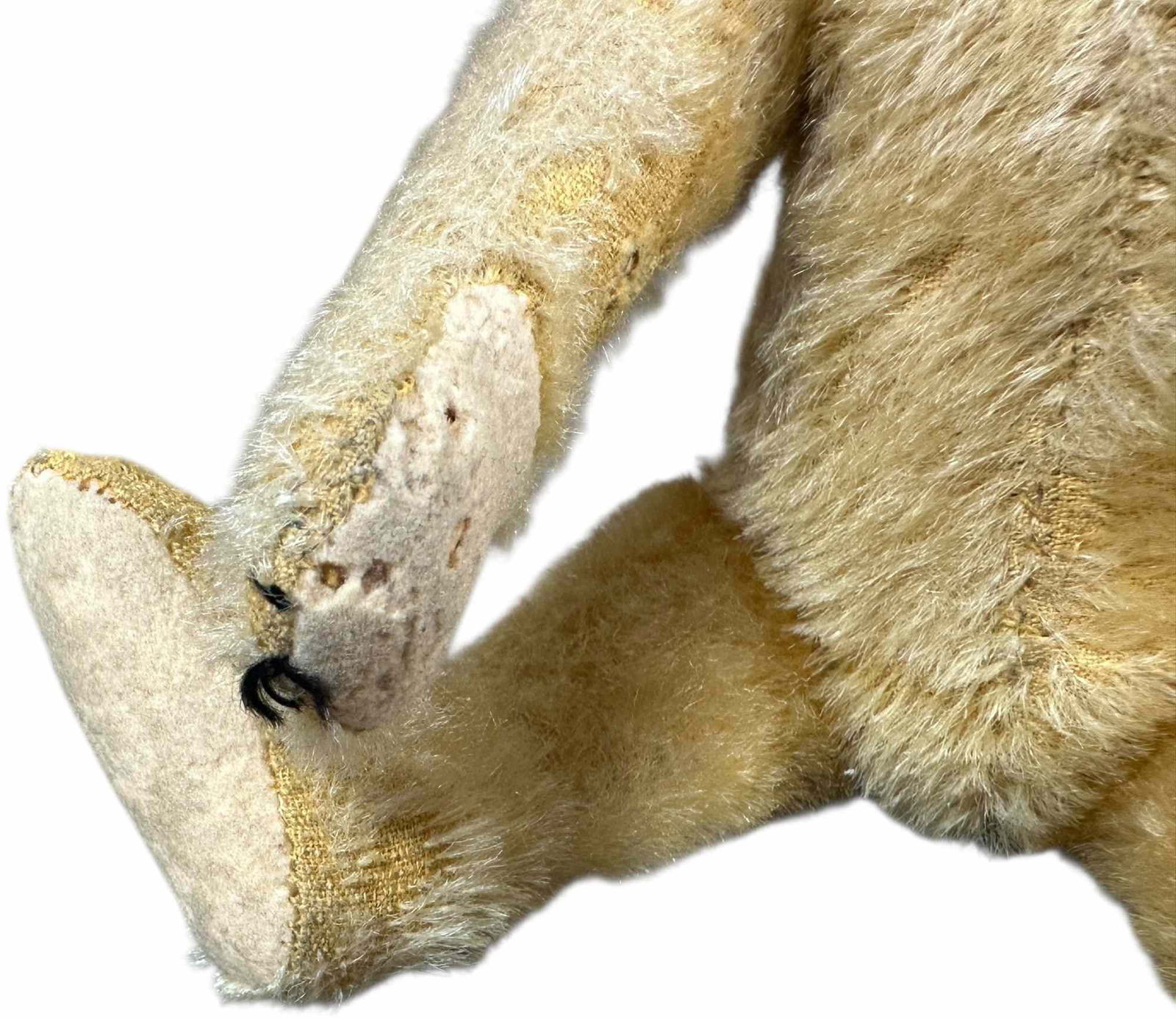 STEIFF BLONDE BEAR - 3