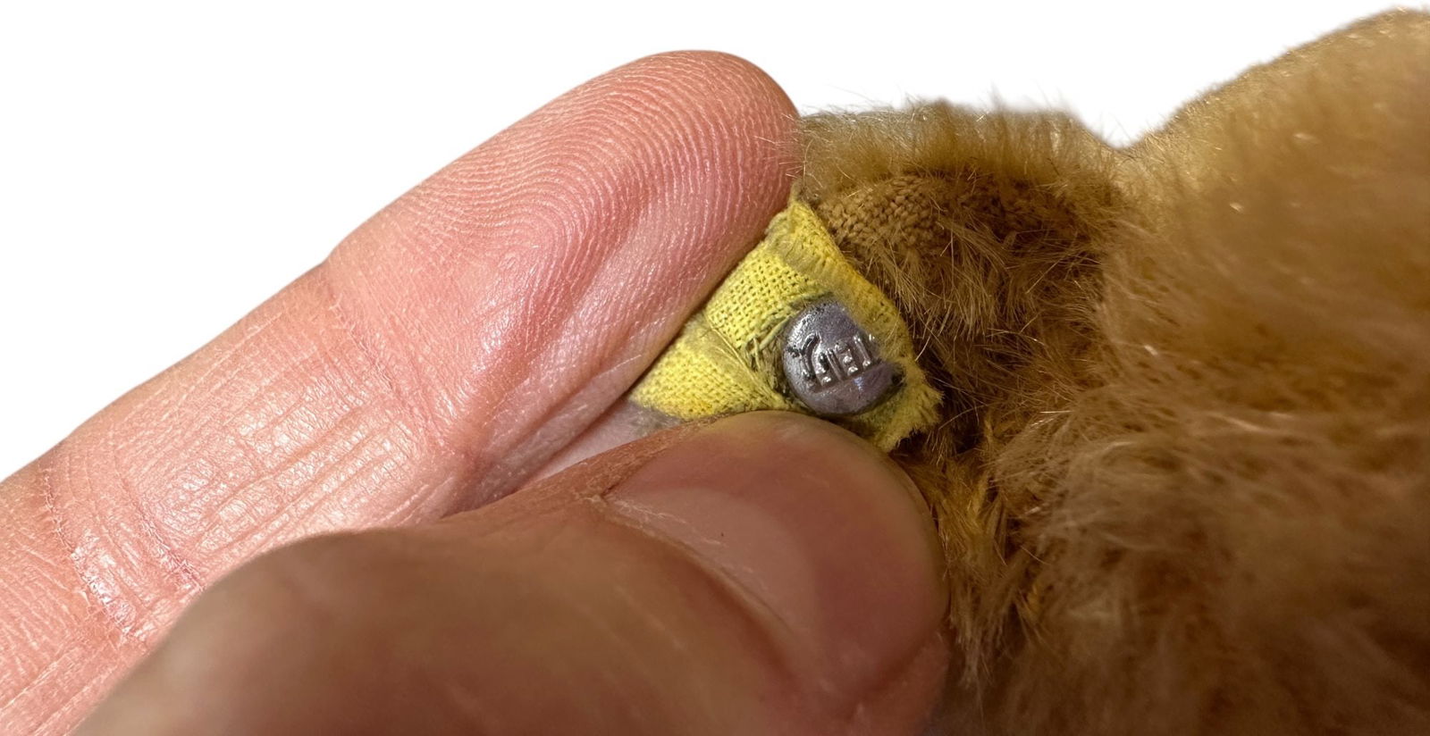 STEIFF BLONDE BEAR - 6