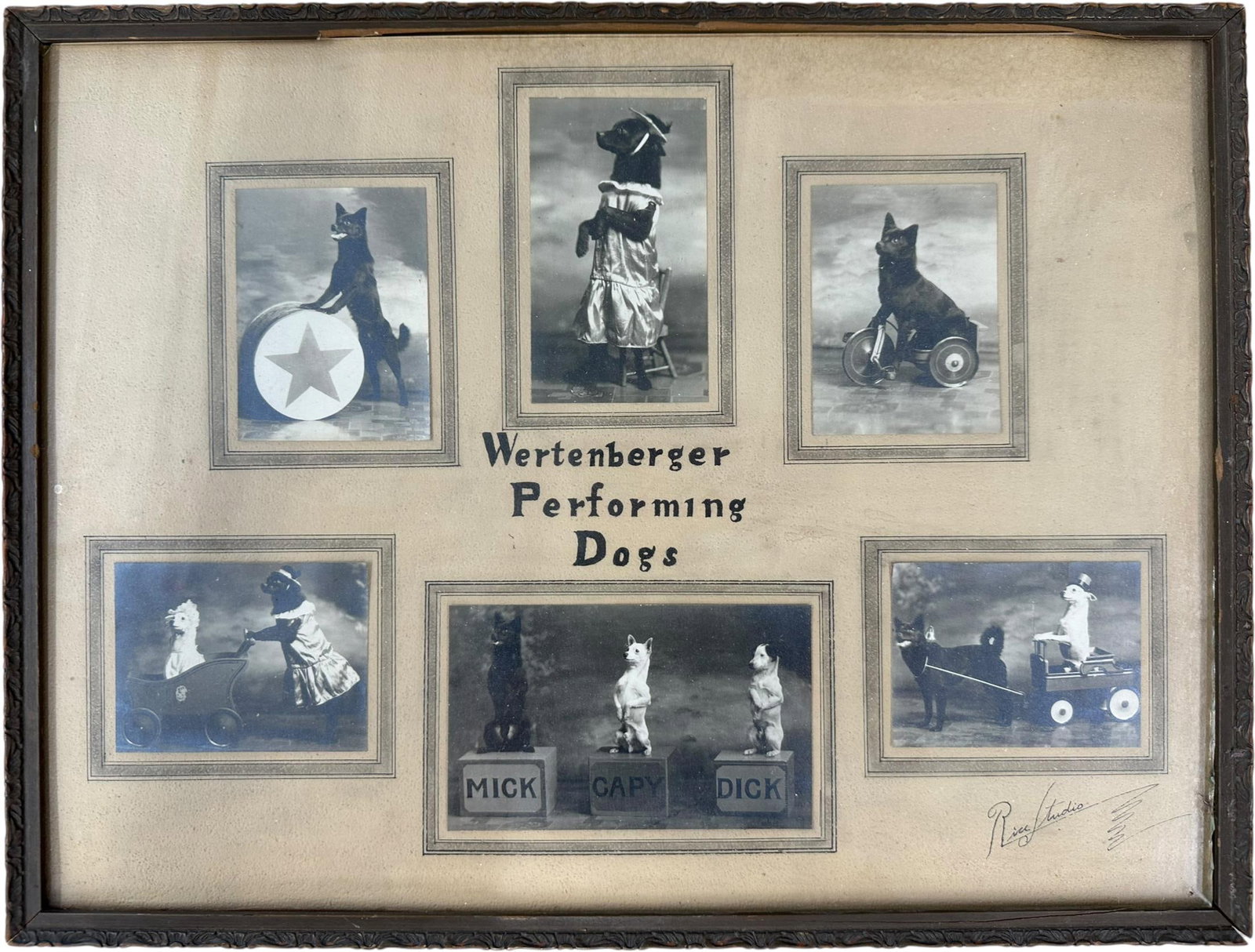 COMPLETE PERFORMING DOG CIRCUS PROP SET - 3