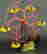 item-20110435=2