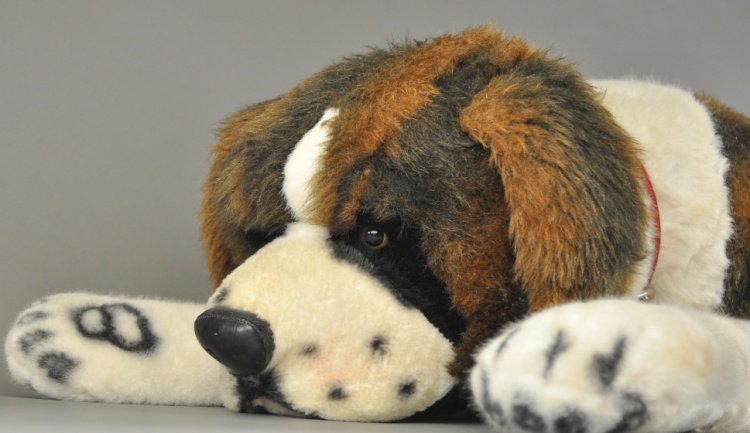 STEIFF LARGE ST. BERNARD: 1960's, stuffed example, quite impressive in scale and detail to fur and head molding, depicted in lying pose, tag in ear. Approx. 46" l.