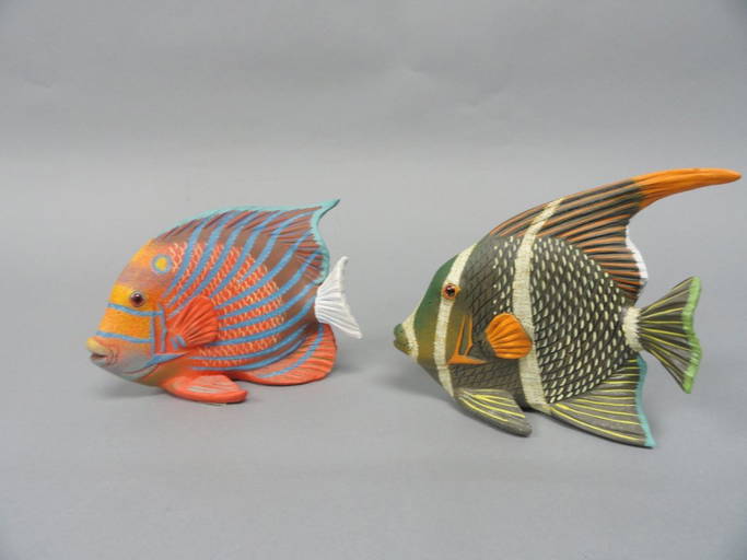2 Land And Sea Nature Series Fish