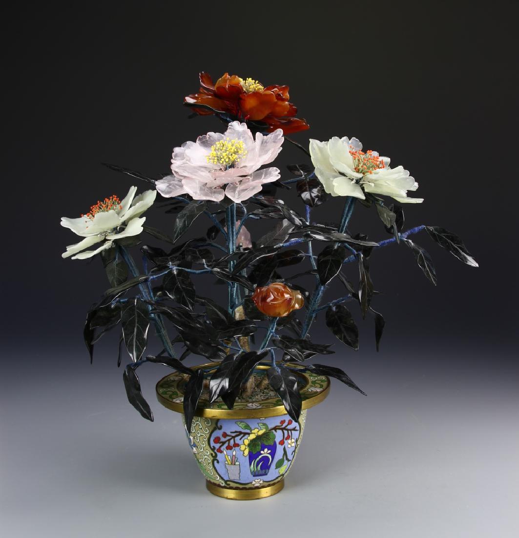 China, Jade Tree (1 of 5)