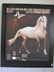 Art Work of White Horse
