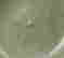 item-129083104=4