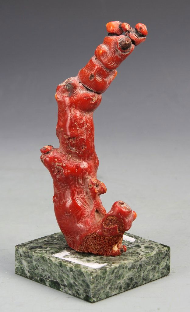 Chinese Coral on Stand (1 of 1)