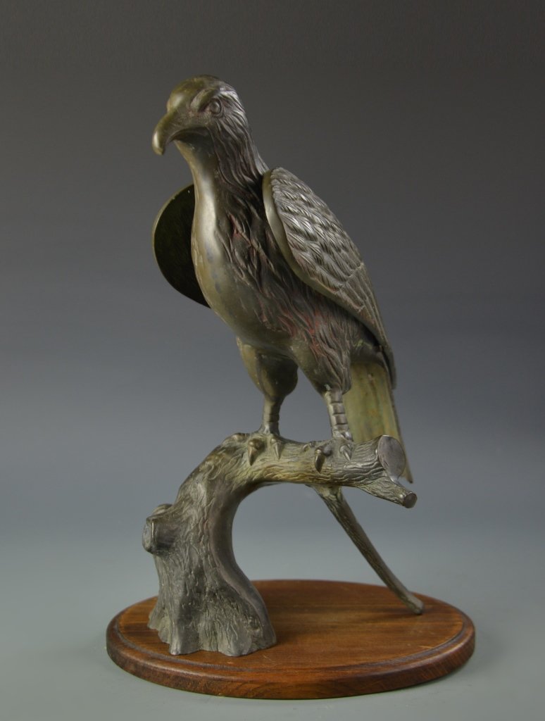 Bronze Hawk (1 of 3)