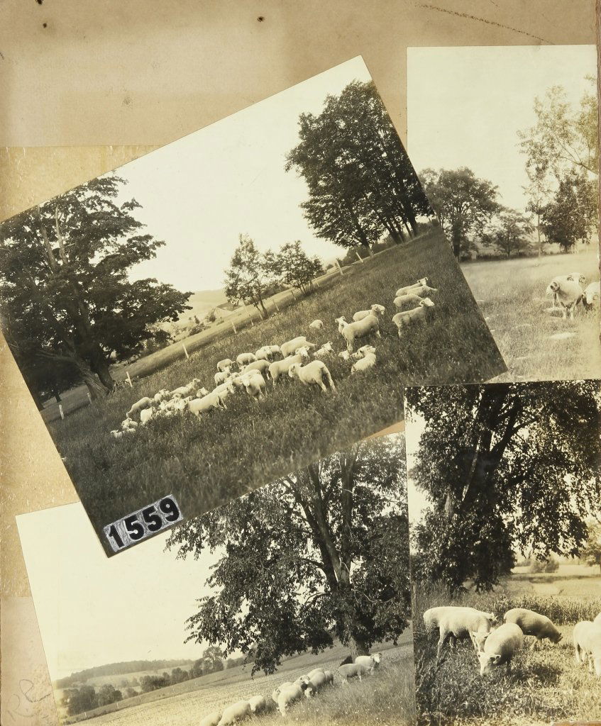 Abstract Art (1 of 2)