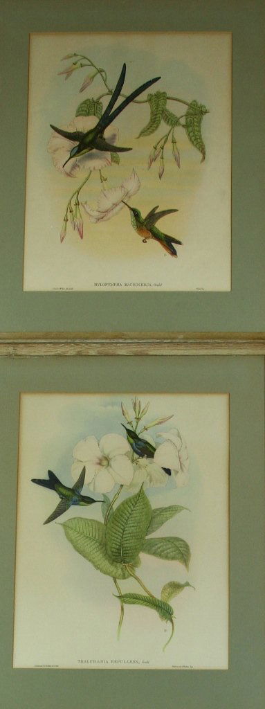 Two Framed Birds And Flowers (1 of 3)